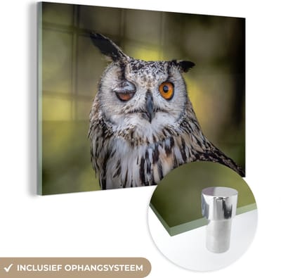 MuchoWow® Glasschilderij 180x120 cm - Schilderij acrylglas - Uil - Oog - Oranje - Foto op glas - Schilderijen