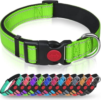 Reflecterende Nylon Hondenhalsband met Veiligheidsgesp - Verstelbaar en Zacht voor Middelgrote Honden - Groen
