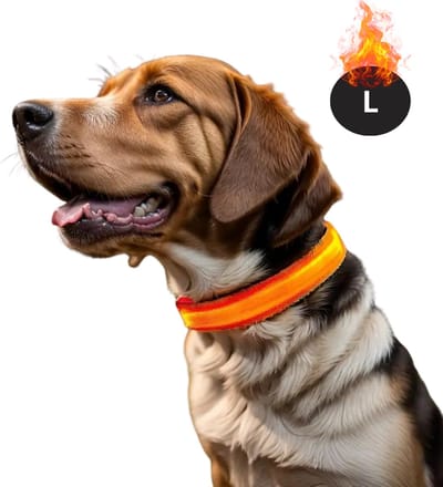 Bovista Lichtgevende Halsband - Verlichte Halsband - Lichtgevend - Hond - Kat - Lampje - Hondenhalsband Led - Oplaadbaar - Glow In The Dark - Oranje - L