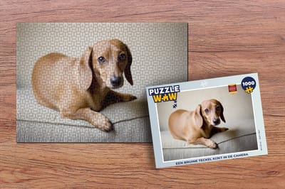 Puzzel Een bruine Teckel kijkt in de camera - Legpuzzel - Puzzel 1000 stukjes volwassenen