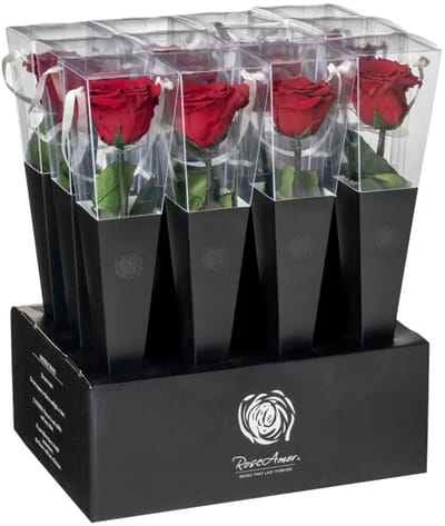 four seasens - eeuwige roos - Rose Amor- Longlife echte roos 30cm - doorzichtige cadeau koker - cadeau - liefde cadeau -