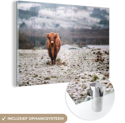 MuchoWow® Glasschilderij 60x40 cm - Schilderij acrylglas - Schotse Hooglander - Sneeuw - Berg - Foto op glas - Schilderijen
