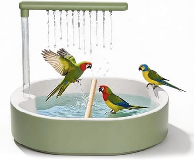 longziming - Automatische Vogelbadplaats - Vogelkooi Douche - Automatische Dubbele Regenpijp en Badmodus - PP Acryl en Beukenhout - Ovaal Ontwerp met Antislip Basis - Voor Comfortabel Baden en Eenvoudig Onderhoud - 1 Stuk - Adapter niet inbegrepen