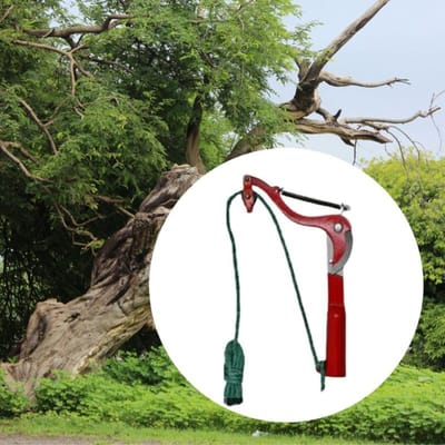 Telescopische Hoge Takkenschaar Fruitplukker met Lange Reikwijdte voor Boom Snoeien en Tuin Snoeien Black Standard black