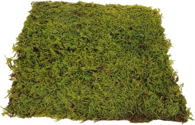Kunstgras Mat - Decoratief Gras - Miniatuur Landschap - Levensechte Simulatie - 30 x 30 cm - Groen