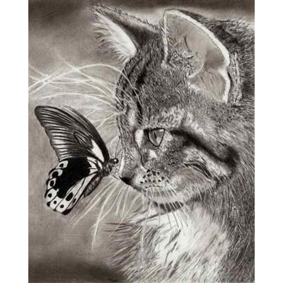 Woondecoratie DIY 5D Diamantborduurwerk Kat en Vlinder Borduurpakketten Hars Hobby Craft 20X30CM black