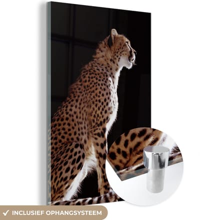 MuchoWow® Glasschilderij 120x180 cm - Schilderij acrylglas - Cheeta - Dieren - Licht - Foto op glas - Schilderijen