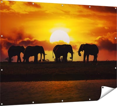 Gards Tuinposter Silhouet Olifanten tijdens Zonsondergang - 160x120 cm - Tuindoek - Tuindecoratie - Wanddecoratie buiten - Tuinschilderij