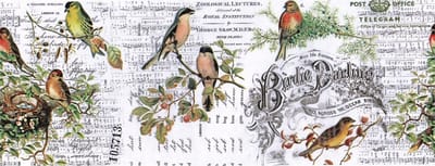 Idea-ology Collage paper - 15,24x15,24cm - yard aviary