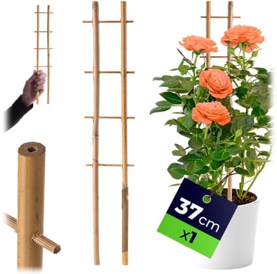 KADAX Bamboeladder voor planten Bloemensteun 38 cm Pergola Strong