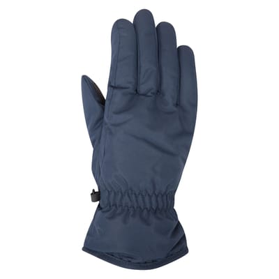 Mountain Warehouse Dames/Dames Skihandschoenen (Marine)