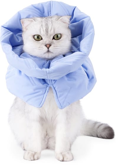 VHV - Herstelkraag - verstelbare kattenkraag maat M - waterdichte zachte halsband - voor kat, kitten en kleine hond