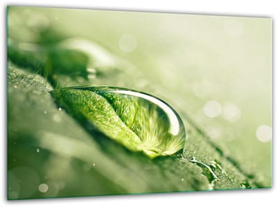 TMK ArtDeko - Snijplank - Gehard Glas - 30x22cm - Anti-slip
