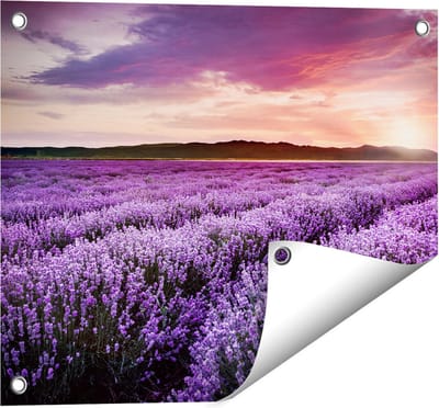 Gards Tuinposter Bloemenveld met Paarse Lavendel - Bloemen - 50x40 cm - Tuindoek - Tuindecoratie - Wanddecoratie buiten - Tuinschilderij