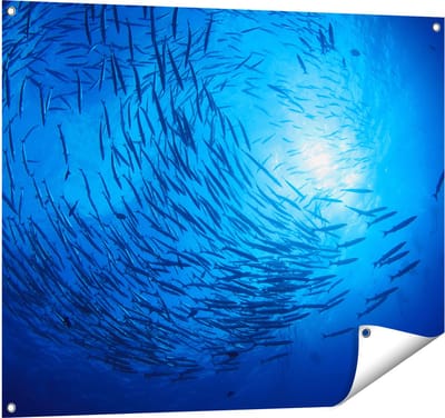 Gards Tuinposter Zwerm Vissen in de Oceaan - 100x80 cm - Tuindoek - Tuindecoratie - Wanddecoratie buiten - Tuinschilderij