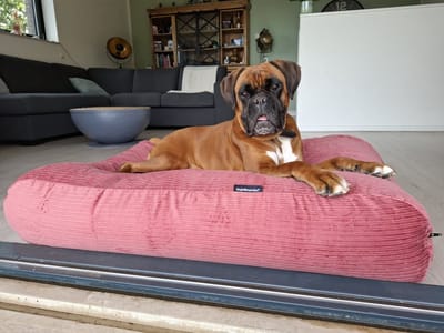 Dog's Companion hoes Hondenkussen / Hondenbed - L - 115 x 85 cm - Oud Roze Double Ribcord