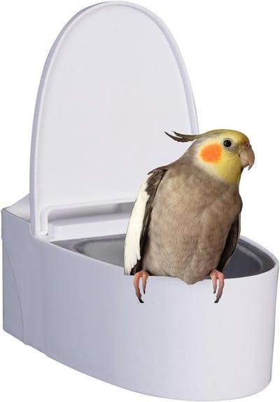 Vogel Toilet - Vogel Trainer - Huis Reinigen - Multifunctioneel Ontwerp - 13 x 9 x 6 cm - Wit