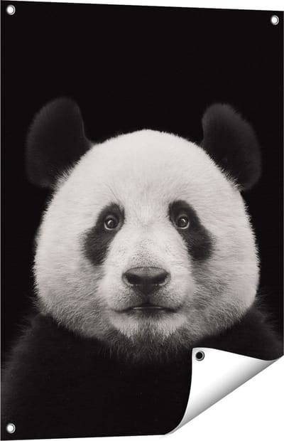 Gards Tuinposter Panda - Pandakop - 60x80 cm - Tuindoek - Tuindecoratie - Wanddecoratie buiten - Tuinschilderij