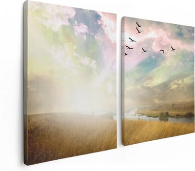 Artaza Canvas Schilderij Tweeluik Groep Vogels Vliegen Boven Het Gras - 120x80 - Foto Op Canvas - Canvas Print
