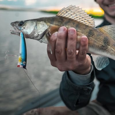 Appât Dur Artificiel en Plastique 7cm Flottant Popper Appât de Pêche Ressemblant à un Poisson Accessoire(5 #) gray