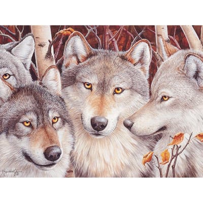 Volledige ronde diamant 5D DIY diamant borduurwerk Wolf menigte diamant schilderij kruissteek strass 20X30CM