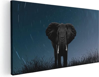 Artaza Canvas Schilderij Olifant - 100x50 cm - Wanddecoratie Dieren - Muurdecoratie Woonkamer - Schilderijen Op Canvas Nachtlucht