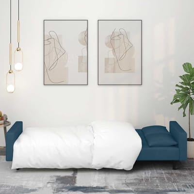vidaXL - Slaapbank - 2-zits - met - 2 - kussens - fluweel - blauw