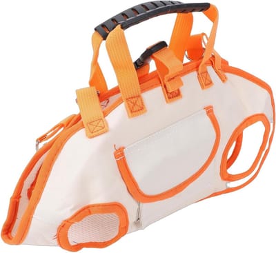 Hondendraagtas - Draagbare reistas - Reizen met huisdier - Ademend nylon materiaal - 29x22x3 cm - Oranje