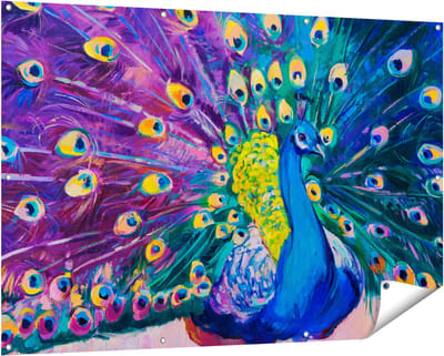 Gards Tuinposter Pauw met Kleurrijke Veren van Olieverf - Abstract - 150x100 cm - Tuindoek - Tuindecoratie - Wanddecoratie buiten - Tuinschilderij