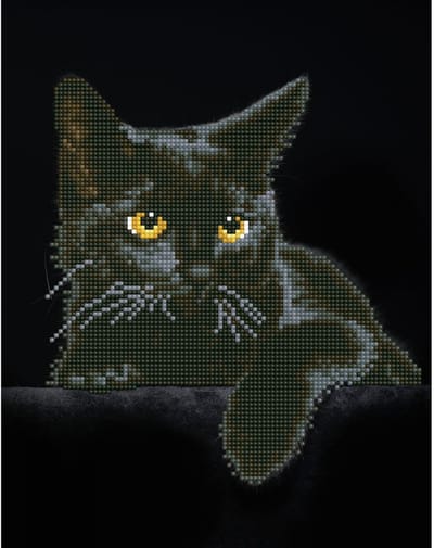 DDK5.001 Diamond Dotz® - Diamond painting volwassenen - Diamond painting met lijst - Dieren - Zwarte kat 35.50 x 27.90cm - Ronde steentjes - Volledig pakket