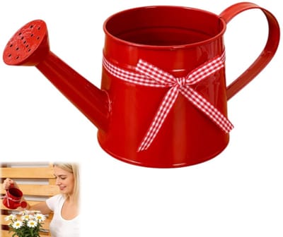 Kleine Gieter - Decoratieve Waterkan - Planten Verzorgen - Fijne Sproeikop - 1 Liter - Rood