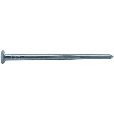 Sencys Spijkers Met Platte Kop Gegalvaniseerd 6x140mm - 5 Stuks