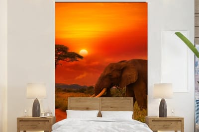 Behang - Fotobehang Olifant - Zonsondergang - Oranje - Savanne - Dieren - Breedte 160 cm x hoogte 240 cm