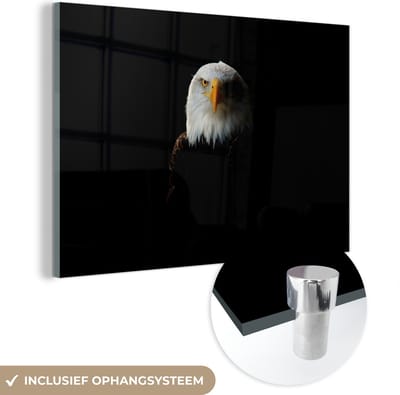 MuchoWow® Glasschilderij 60x40 cm - Schilderij acrylglas - Adelaar - Vogel - Zwart - Foto op glas - Schilderijen