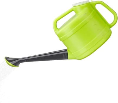 Gieter Lange Tuit - Plantencontainer Sproeier - Planten Water Geven - Aanpasbare Besproeiing - 2.5 Liter Capaciteit - Groen