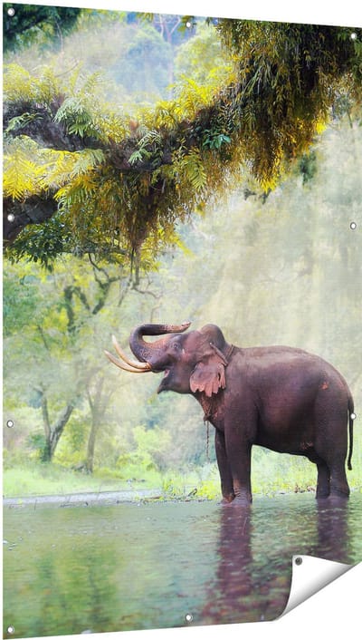 Gards Tuinposter Vrolijke Olifant in het Water - 100x150 cm - Tuindoek - Tuindecoratie - Wanddecoratie buiten - Tuinschilderij