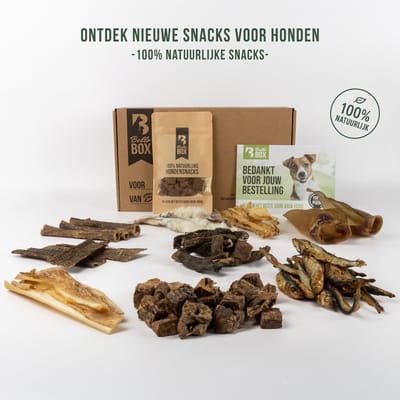 Hondensnacks Proeverij Box – 10 Verschillende Snacks | Bellobox