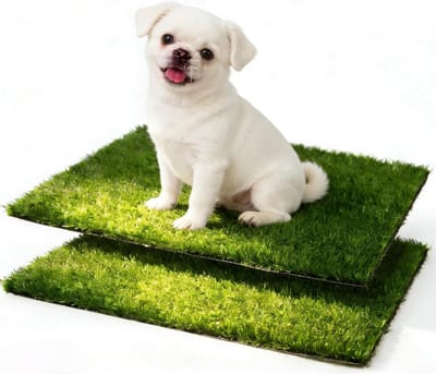 Hernieuwbare Puppy Toilet Set voor Thuisgebruik - 2 Stuks, Ideaal voor Training en Kleine Honden, 36.5 x 46 cm