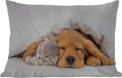 Buitenkussens - Tuin - huisdieren - hond - Kat - Deken - 50x30 cm