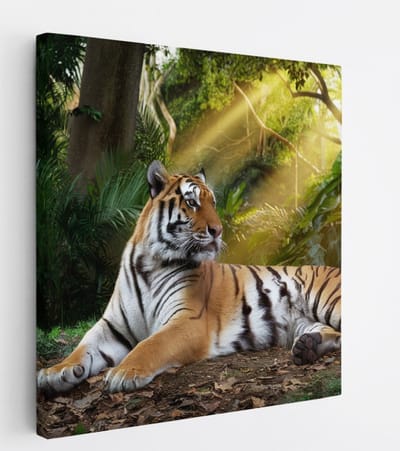 Saammp Canvas Schilderij - Tijger in de zon - Natuur - Dieren - 20x20 - Foto op canvas - Wanddecoratie - muurdecoratie Woonkamer - Slaapkamer decoratie - Canvas Print