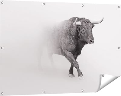 Gards Tuinposter Stier op een Grijze Achtergrond - Zwart Wit - 120x80 cm - Tuindoek - Tuindecoratie - Wanddecoratie buiten - Tuinschilderij