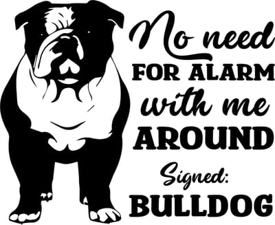 Raam - auto - deur sticker no need for alarm - dog - hond -