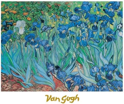 Kunstdruk Vincent Van Gogh - Iris 30x24cm