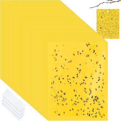 Vliegenvangers - 50 Stuks - Rouwvliegjes Bestrijden - Fruitvliegjes Vanger - Fruitvlieg - Vangplaten - Muggenvanger - Rouwvliegjes - Insectenvanger - Vliegen Lijmval - Geschikt Voor Tuin ,Fruit,Planten,Insecten - 20 X 15 Cm