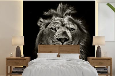Behang - Fotobehang Leeuw - Dieren - Portret - Wild - Zwart wit - Breedte 220 cm x hoogte 220 cm