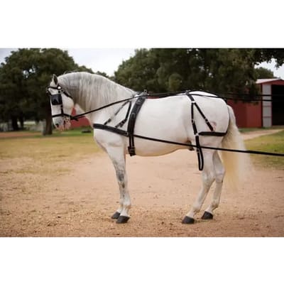 Harnassenset voor nylon paard Hispano Hipica Hagen