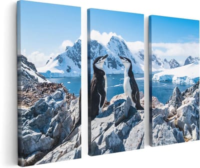 Artaza Canvas Schilderij Drieluik Twee Pinguïns op Stenen in Antarctica - 120x80 - Foto Op Canvas - Canvas Print