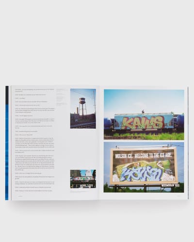 Kaws - Phaidon Contemporary Artists Series - Dan Nadel