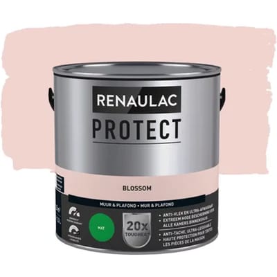 Renaulac Protect Muurverf - Mat - Blossom - 2,5l