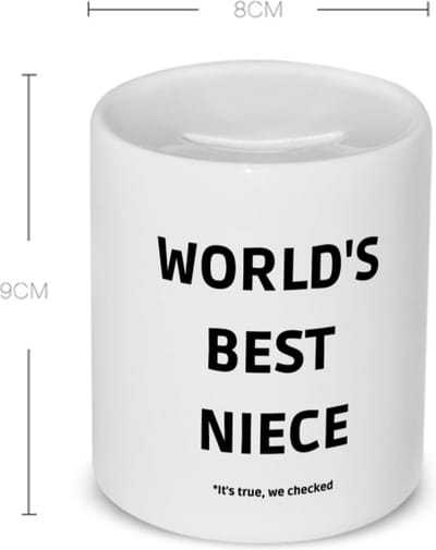 Akyol - world's best niece it's true we checked Spaarpot - Nicht - werelds beste nicht - verjaardag - cadeautje voor nicht - nicht artikelen - kado - geschenk - 350 ML inhoud